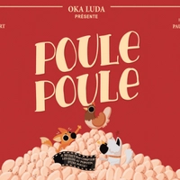 Poule Poule