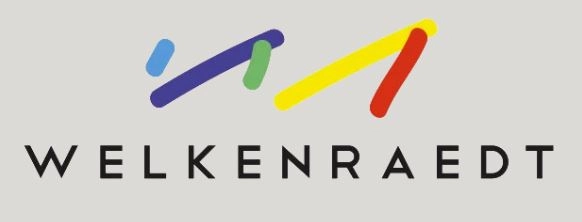 Ludo L'île aux trésors de Welkenraedt