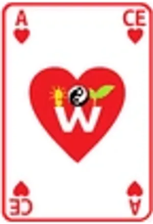 Logo Ace Workshops